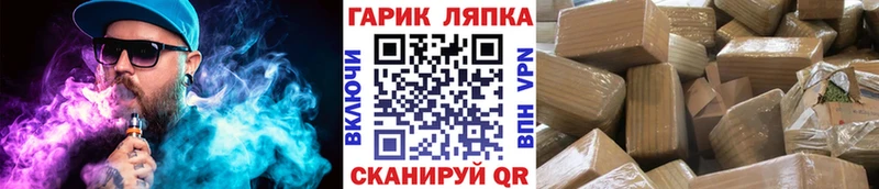 ГАШ Изолятор OMG вход Циолковский