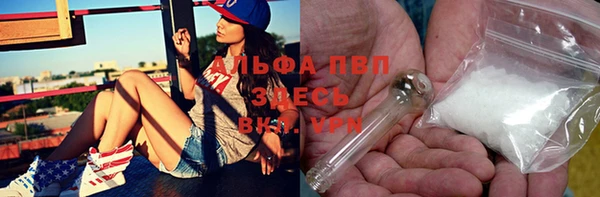 прущие грибы Абаза