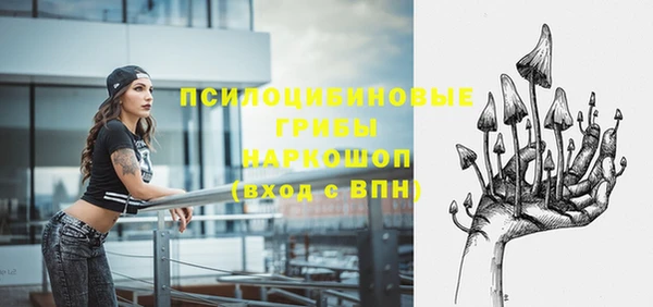 прущие грибы Абаза