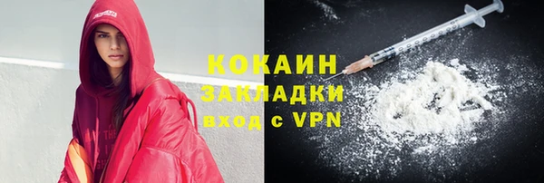 прущие грибы Абаза
