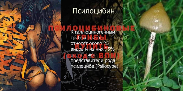 spice Абдулино