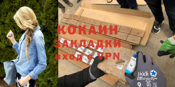 прущие грибы Абаза