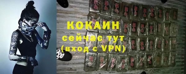 прущие грибы Абаза