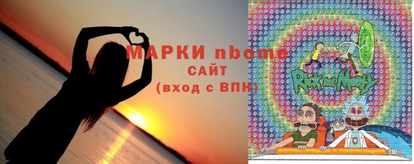 прущие грибы Абаза