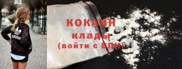 прущие грибы Абаза