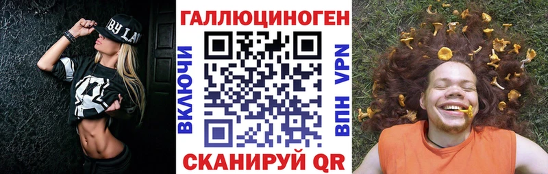 mega как войти  где найти   Циолковский  Псилоцибиновые грибы ЛСД 